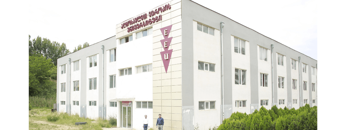 East European University