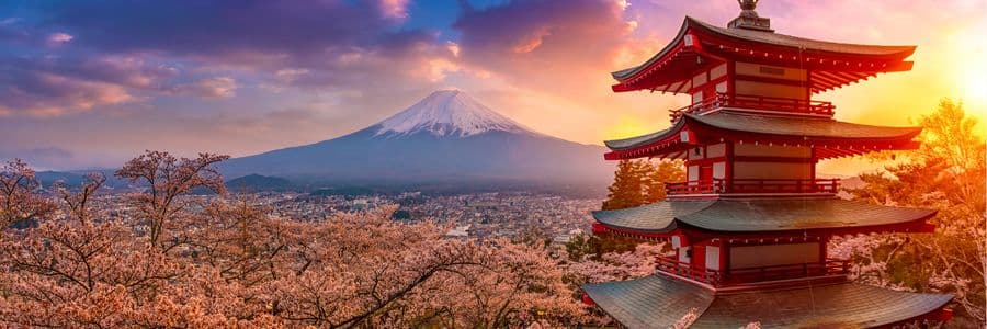 Asia medical education landscape