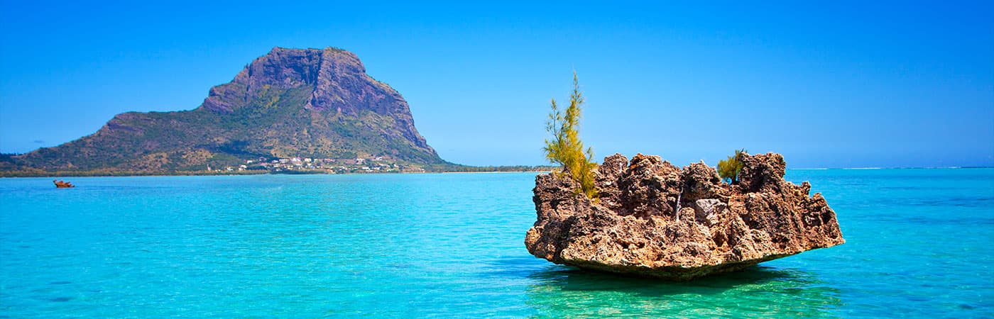 Mauritius medical education landscape